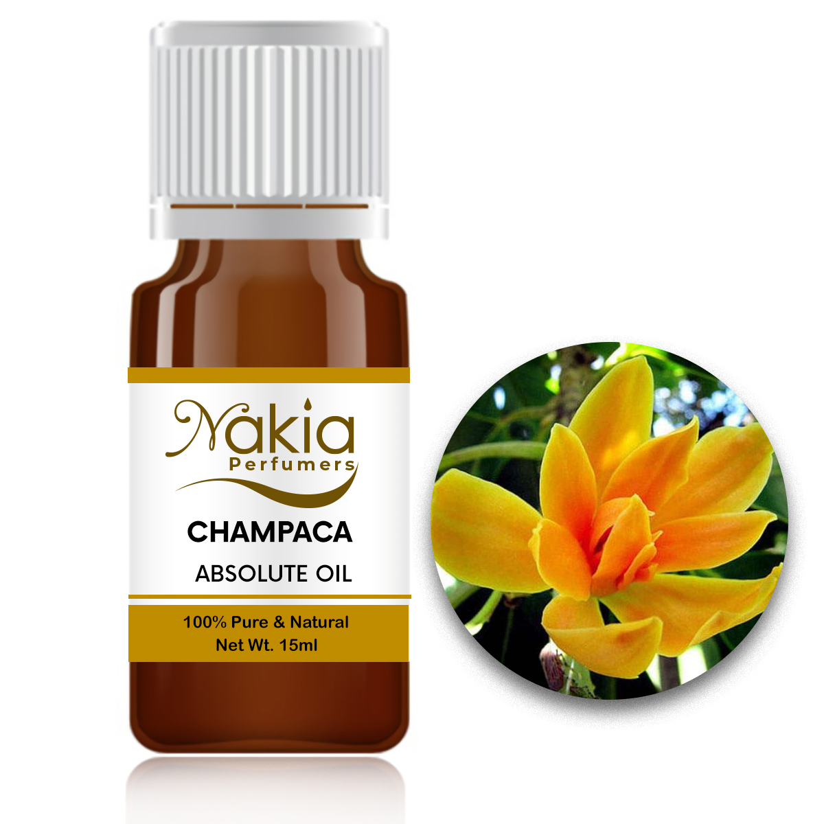 CHAMPACA ABSOLUTE OIL