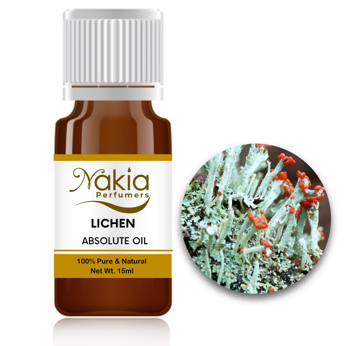 LICHEN ABSOLUTE OIL