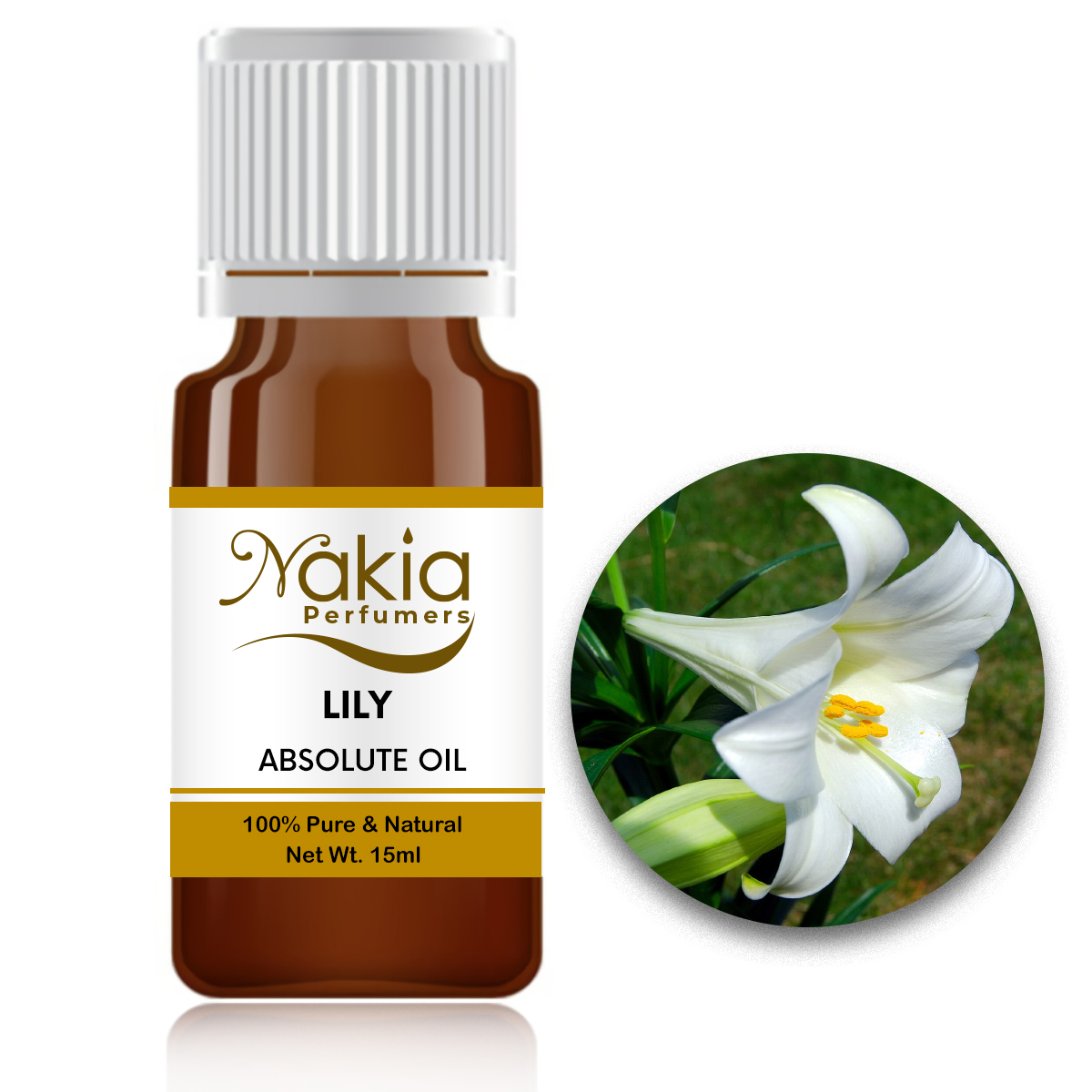 LILY ABSOLUTE OIL