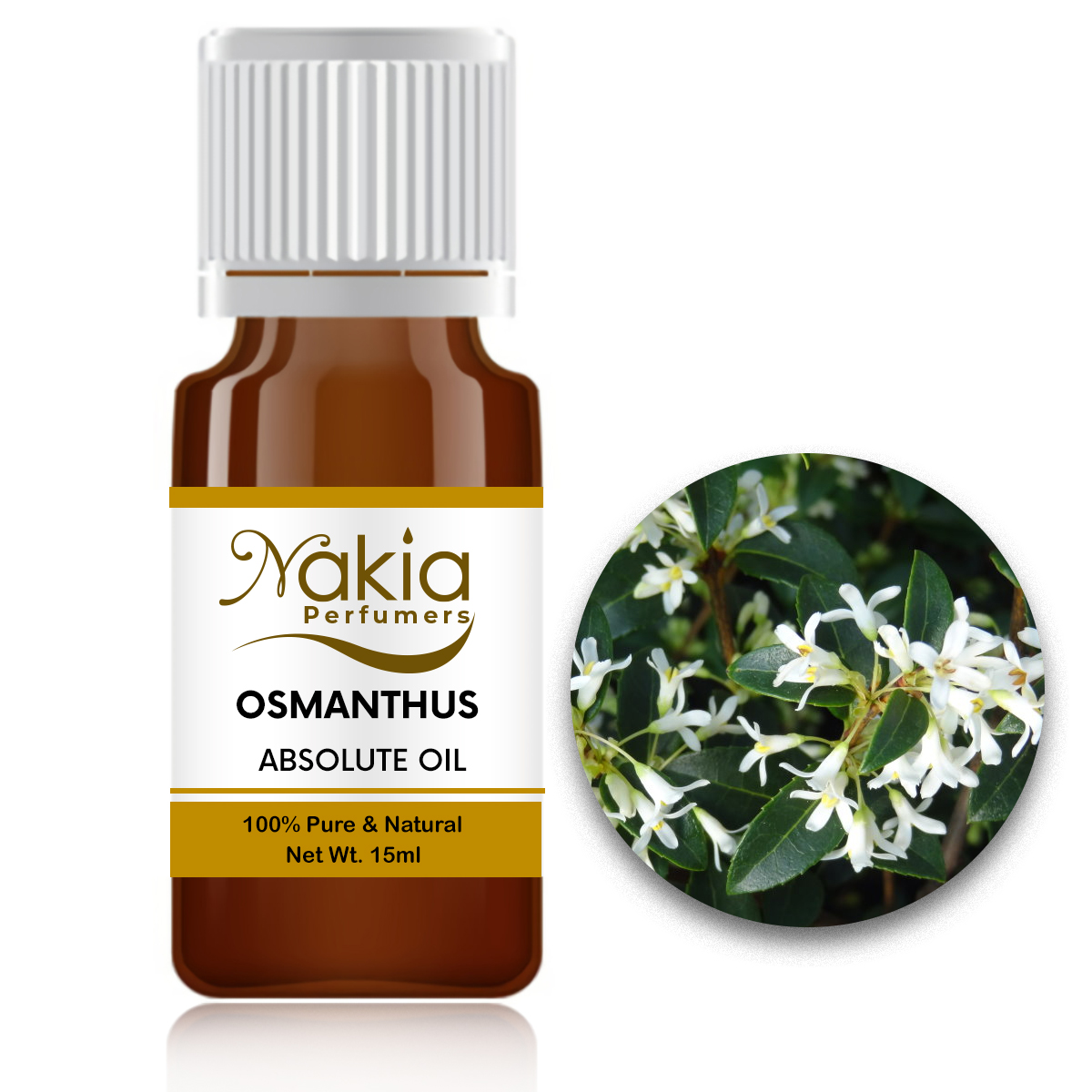 OSMANTHUS ABSOLUTE OIL